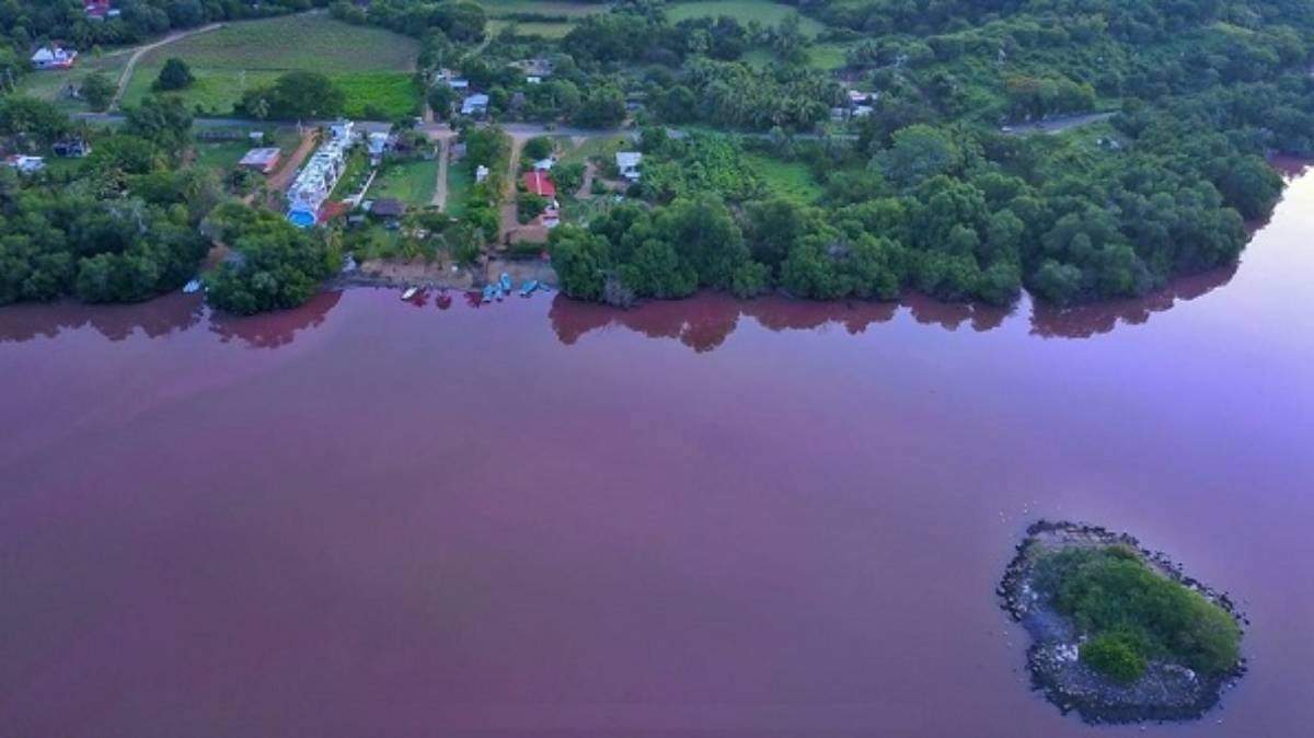 La laguna de Manialtepec