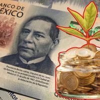 Cómo ahorrar energía en casa según la Profeco para reducir tu recibo de CFE