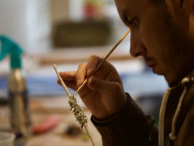 Arte: "Milpa. Ritual imprescindible"