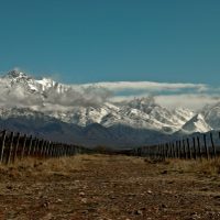 Vinos de Los Chacayes: el sello de un terroir con personalidad