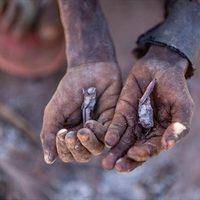 La ONU constata más de 45 millones de personas al borde de la hambruna en todo el mundo