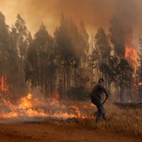 El Gobierno de Chile asegura que los incendios forestales son intencionales: hay 19 focos activos
