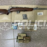 El Huecu: ofrecía armas para la venta en redes sociales y le hallaron restos de animales protegidos