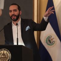 Abrupta ruptura: Nayib Bukele pone fin al acuerdo anticorrupción con la OEA