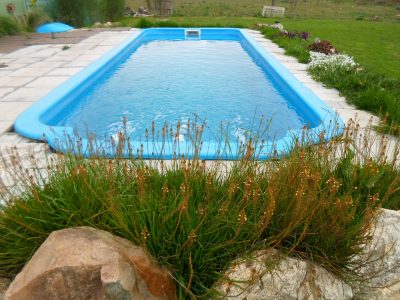Lográ un efecto tropical en los bordes de tu pileta con estas opciones de plantas súper hermosas