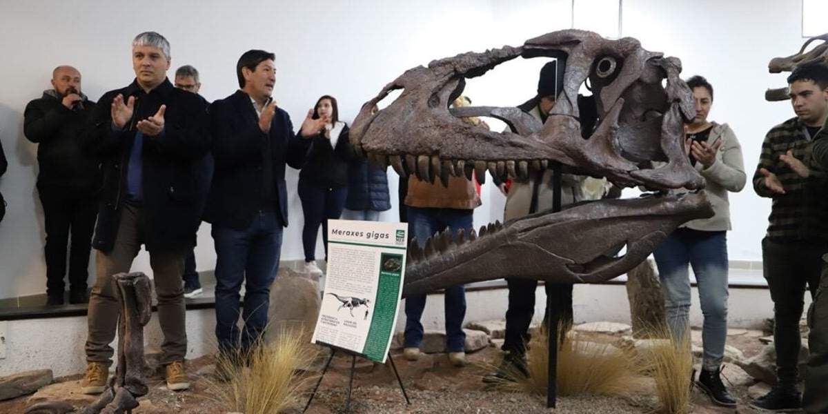 Se trata de un nuevo hallazgo paleontológico. Fuente (neuqueninforma).