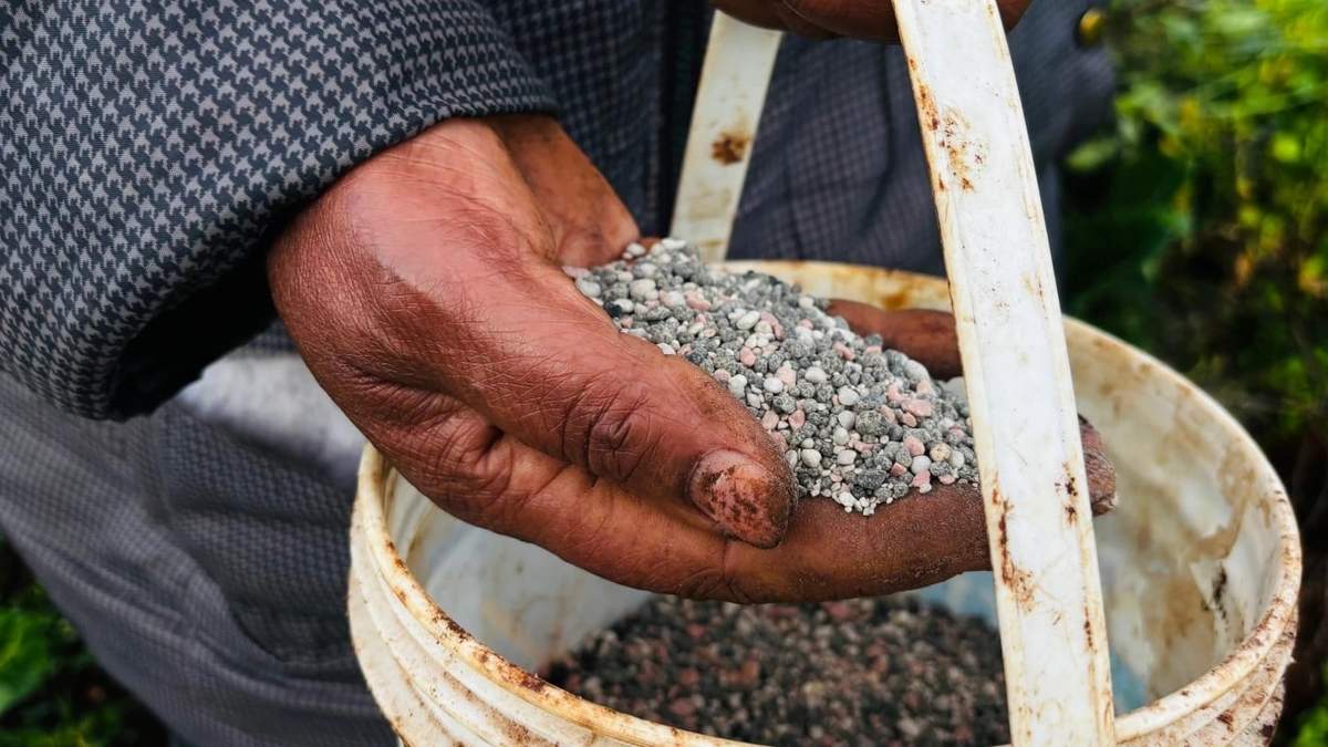 Guerra en Medio Oriente provoca escasez mundial de fertilizantes y amenaza precios de alimentos