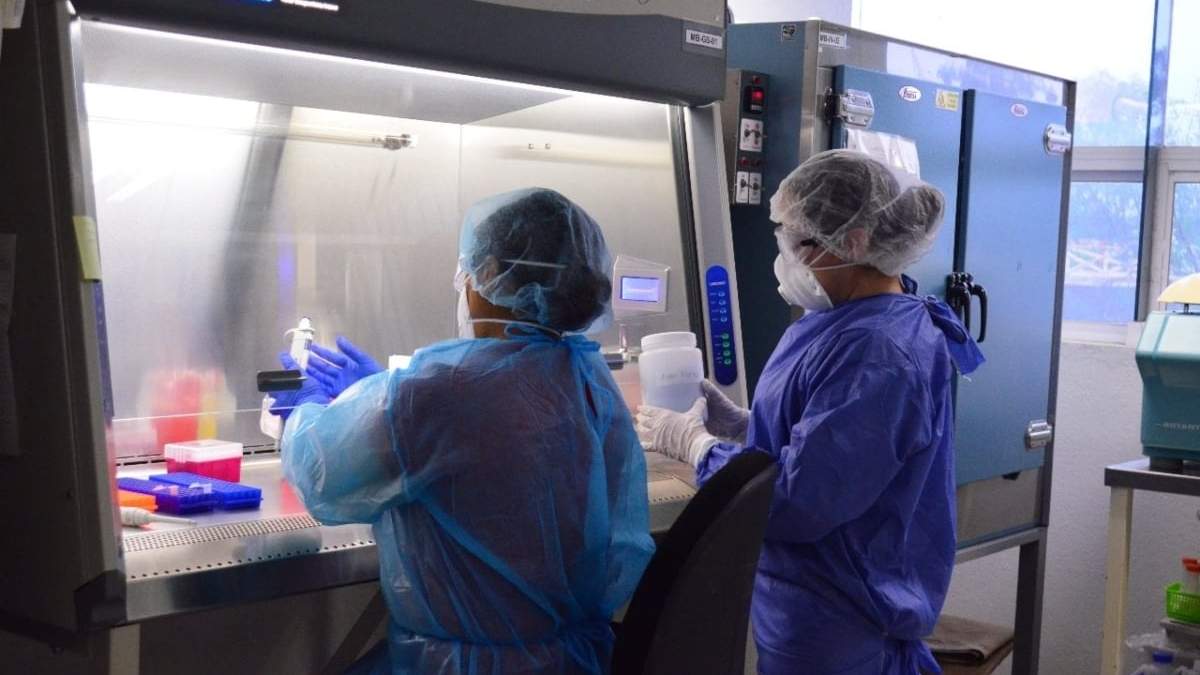 Análisis de muestras para detectar covid-19 en Tamaulipas