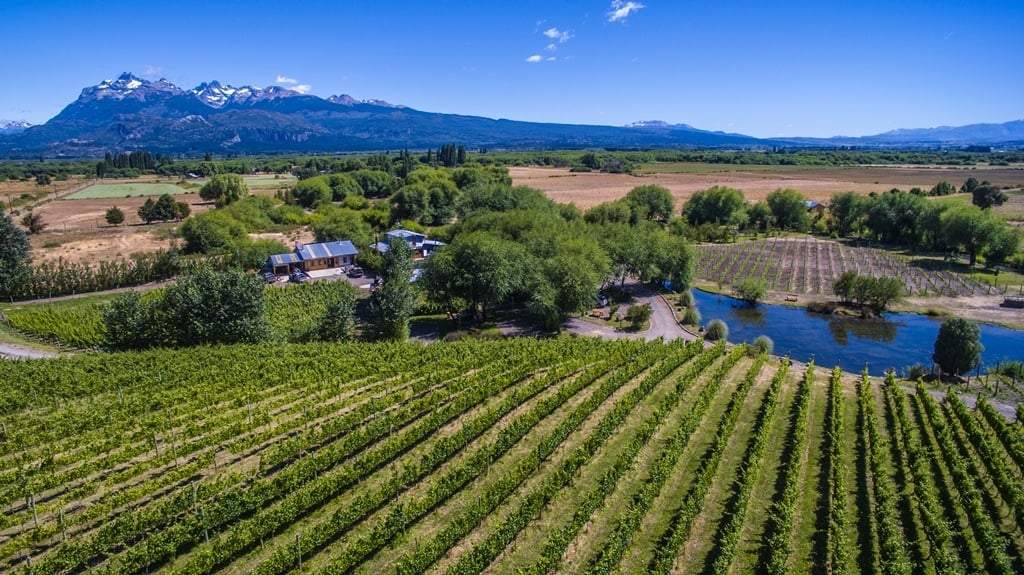 Viñas del Nant Y Fall. Fuente: (Twitter)