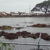 Las lluvias inundan el terreno donde se construye Dos Bocas