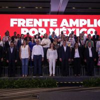 Se disuelve el "mini INE" que organizaría la consulta de la oposición: este fue el motivo
