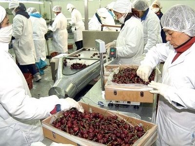 Contra la crisis, los Bancos aumentaron la entrega de créditos para rescatar a las pymes