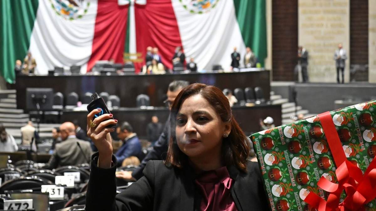La diputada de Movimiento Ciudadano, Irais Virginia Reyes de la Torre