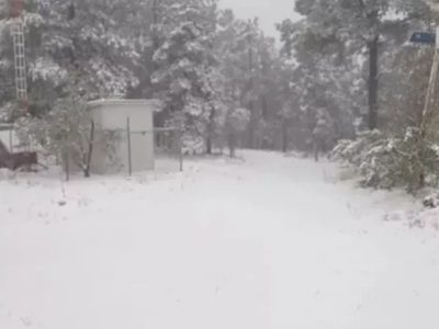 Tormenta invernal en Chihuahua deja daños en servicios básicos (Videos)