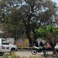 Perro ataca y mata a un niño de cinco años en Veracruz