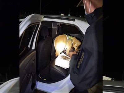 Detuvieron en Pino Hachado a un argentino que intentaba cruzar la droga zombie a Chile