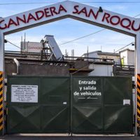 Cerró un frigorífico y despidió a 140 empleados: apuntó contra la “importación sin control"