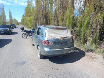 Dos delincuentes robaron una bicicleta y fueron atrapados