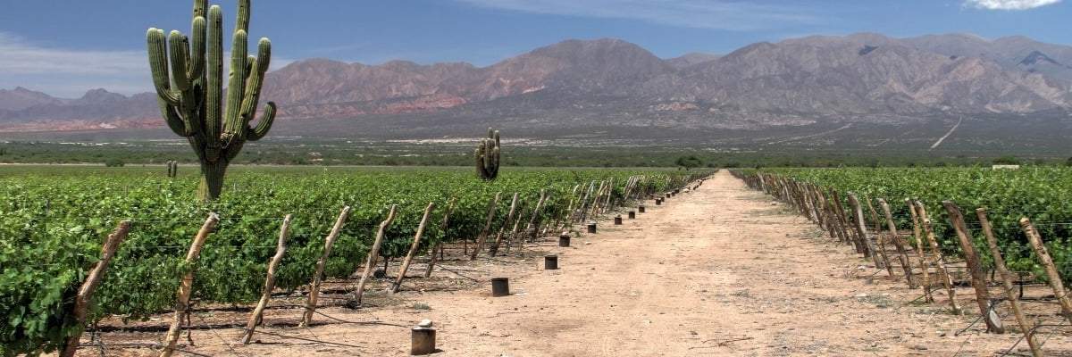 Crearán nueva bodega en Catamarca. Fuente; (Instagram)