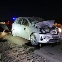 Murió un caballo tras ser embestido por un auto en la ruta provincial 51 cerca de Mari Menuco