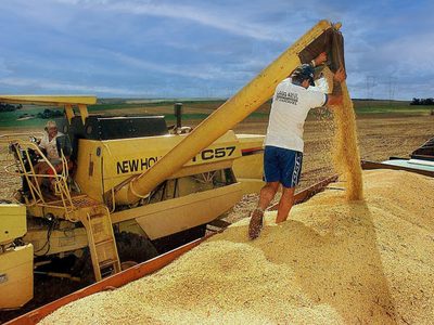 El Gobierno bajó retenciones de trigo, cebada y soja