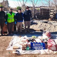 Allanaron un matadero clandestino de caballos que funcionaba en la meseta