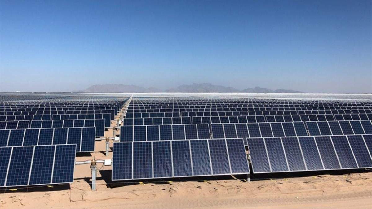 Paneles de energía en el parque solar. Fuente:  (Twitter)