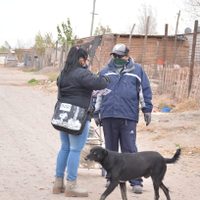 Por un paciente que no respetó el aislamiento, realizan un testeo masivo en Cipolletti