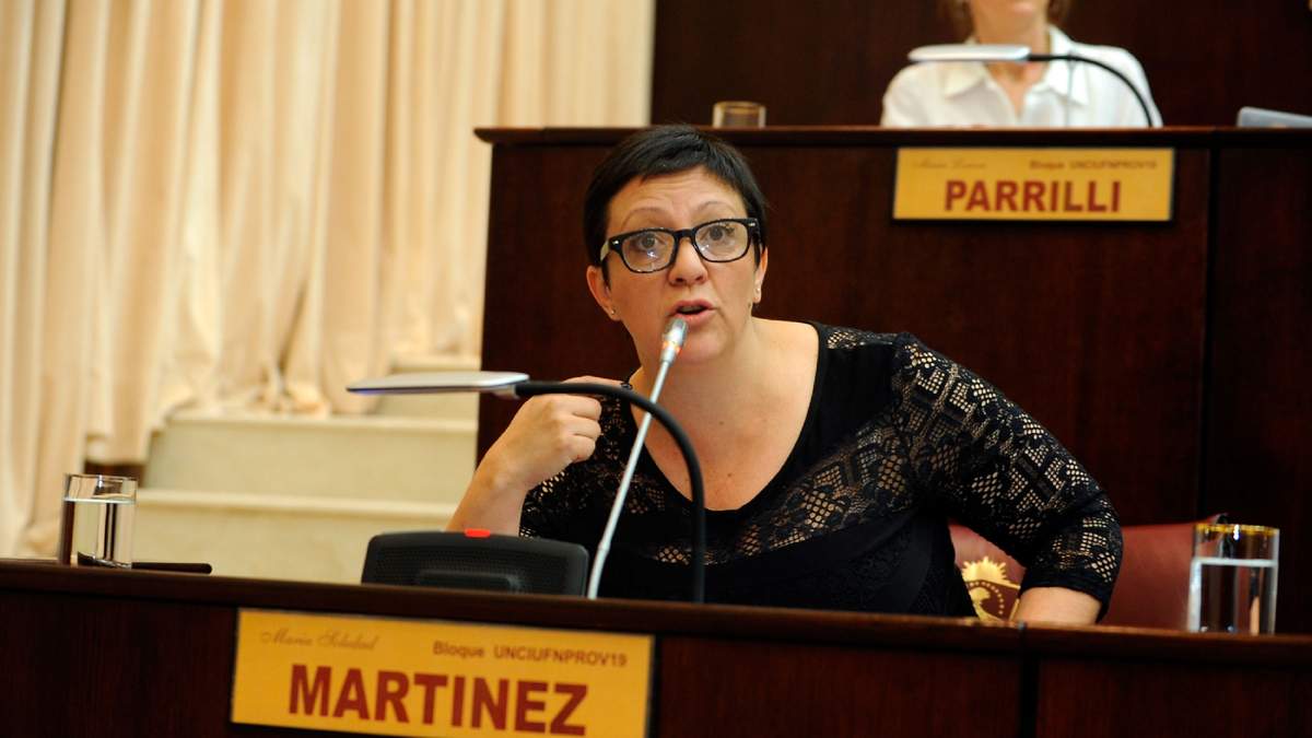 Diputada provincial Soledad Martínez en el recinto de Legislatura. Fuente: (Twitter),