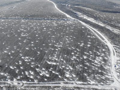 Ucrania y Rusia intercambian reportes de muertos durante la guerra