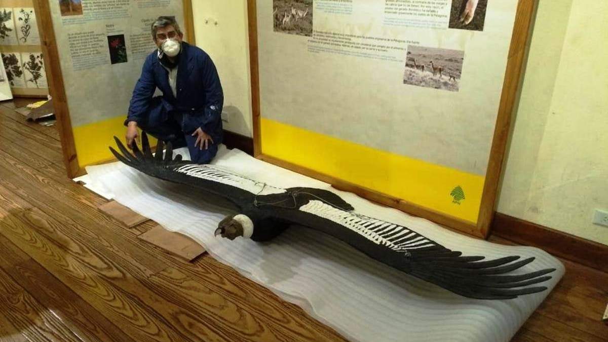 Se renueva el museo de la Patagonia. Fuente: (Instagram)