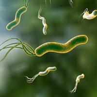 Alarma médica: la bacteria que puede vivir años sin dar síntomas y que impulsa una estrategia preventiva nacional