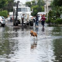 Azotarán lluvias intensas con riesgo de encharcamientos e inundaciones entre lunes y jueves
