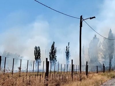 Un incendio de pastizales se propagó rápidamente en el barrio Confluencia Rural de Neuquén