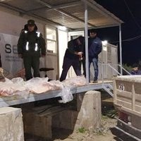 "En Puente Dique": ¿Gendarmería robó carne decomisada en Río Negro?