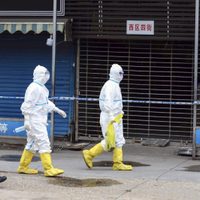 Coronavirus fuera de control: China informó que ya son 811 los muertos y 37.198 los infectados