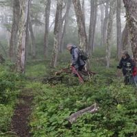 Este sábado se realiza una nueva edición de la tradicional caminata por la Ruta de Neruda