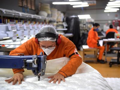 Cuáles son los nuevos cambios en el Repro II oficializados por el Gobierno