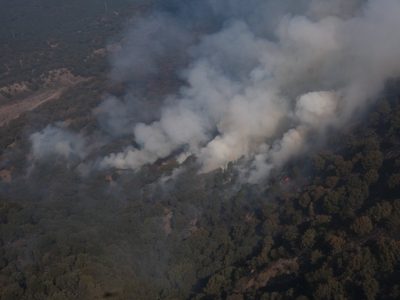 Se extiende el incendio en el bosque La Primavera; el humo llega a Zapopan
