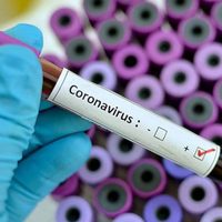 "Coronavirus en Neuquén": ¿Cuántos casos sospechosos hay?