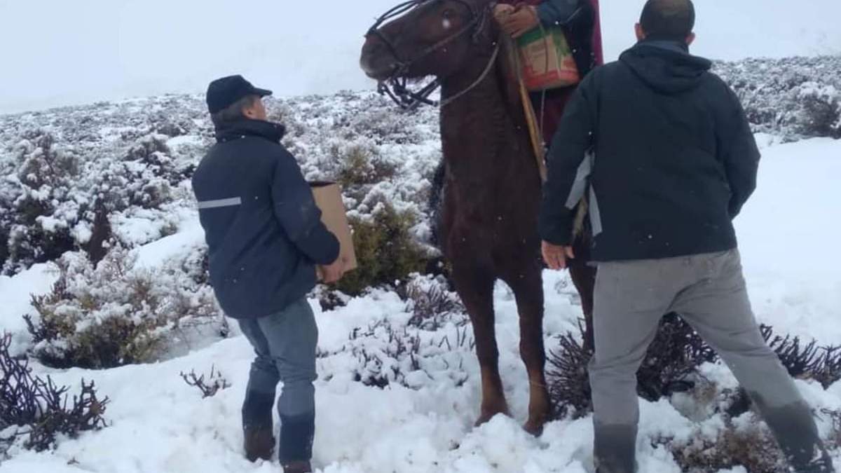 Crianceros de El Cholar. Fuente: (Facebook)
