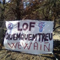 Conflicto mapuche: el triste relato de Nadia Núñez, compañera de Elías Garay