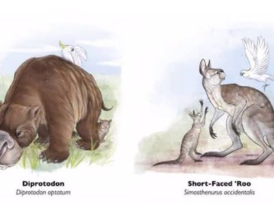 Megafauna extinta era propensa a los “juegos del hambre”