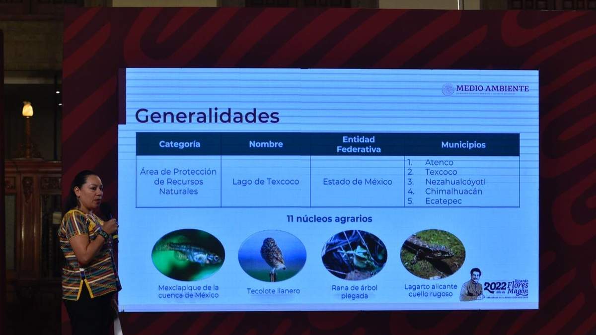 La secretaria de Medio Ambiente, María Luisa Albores