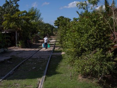 Inician expropiación de 198 predios de Cancún donde correrá el Tren Maya
