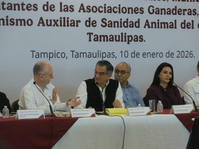 Tamaulipas refuerza acciones contra el gusano barrenador; no se cerrará comercialización del ganado: