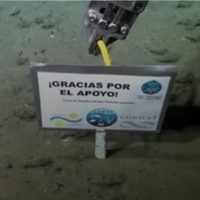"Gracias por el apoyo": terminó el exitoso streaming del Conicet