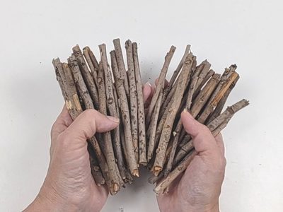 Aprovechá el Invierno para juntar ramas secas: mirá esto tan lindo que podés crear para ponerle onda a tu jardín