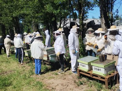 Éxitoso curso de operario apícola en Plottier que brinda salida laboral