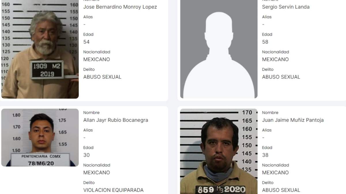 El registro fue habilitado con 45 perfiles de hombres agresores sexuales